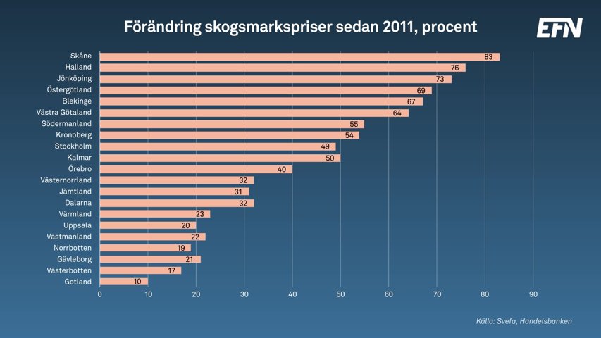 Skogen & Kapitalet: Från tvärstopp till uppgång – skogsaffärerna tar fart