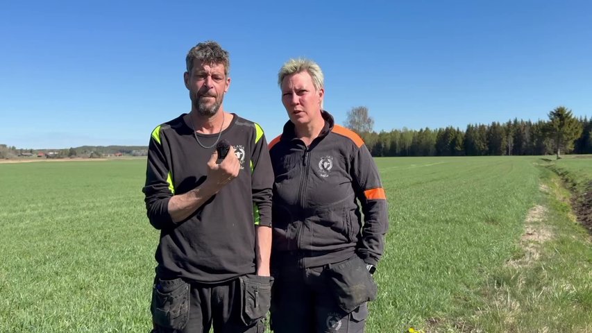 Brist på regn oroar inför förstaskörd