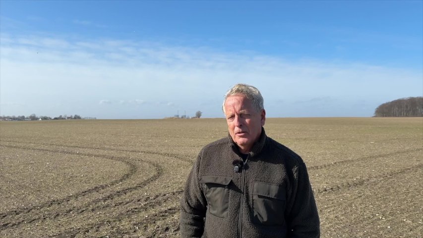 Stora skador efter fågelinvasion