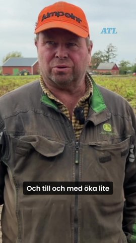 Första potatisåret ger mersmak