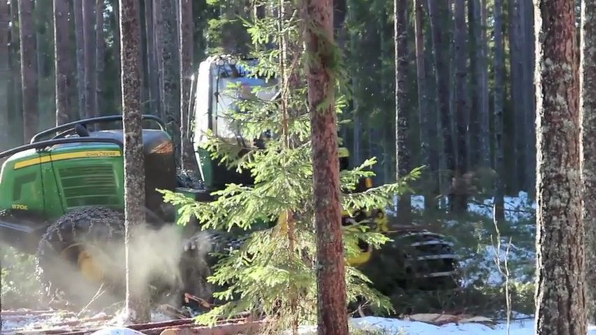 Skickat proffset till skogen