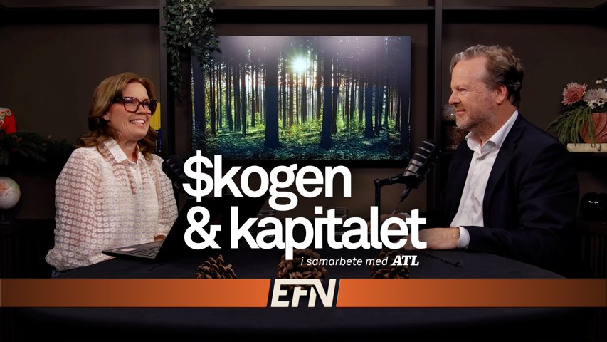 Skogen & Kapitalet: Energikrisen kan gynna nordisk skog
