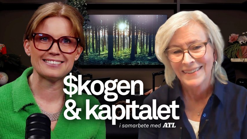 Skogen & Kapitalet: Deklarationstider för skogsägare – vad ska du tänka på?