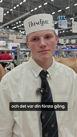 Möt vinnaren i showmanship på Elmia