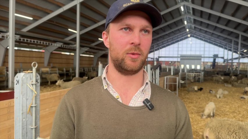 Han byggde Norrlands största fårgård