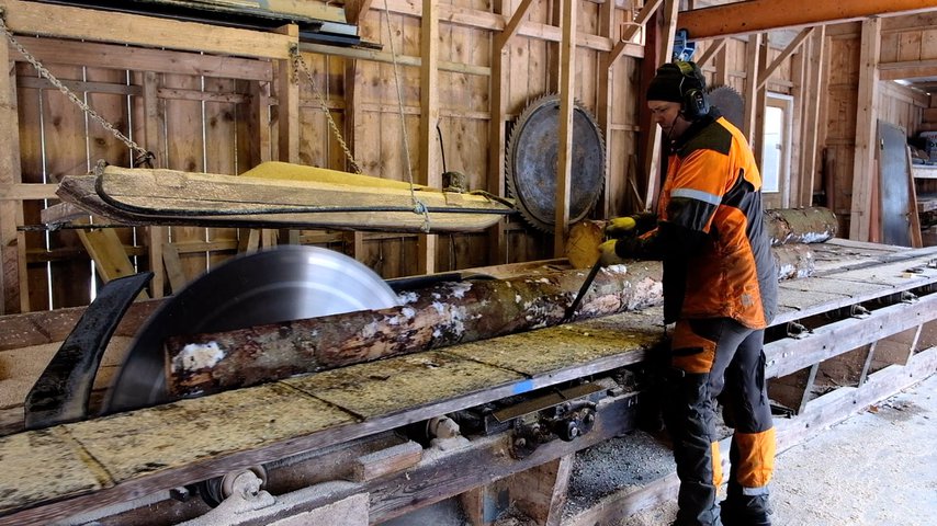 Småsågaren tar hand om barkborrevirke