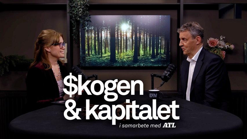 Skogen & Kapitalet: SCA:s vd: ”Vi är vid botten nu”